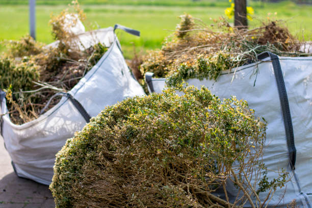 Best Trash Removal Near Me  in Fulton, NY